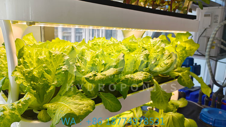 Agriculture Farming Systems - c Сельскохозяйственная машина для выращивания овощей,