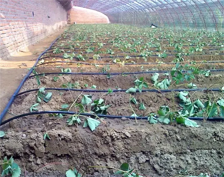 Комплект для капельного орошен – обзор и цена Agriculture Farming Systems